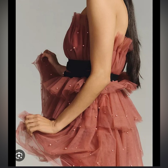 Anthropologie Tiered Strapless Tulle Dress - Picture 3 of 5